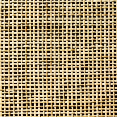 Springville Caned Door TV Stand - Threshold™ Designed With Studio McGee - Image 5